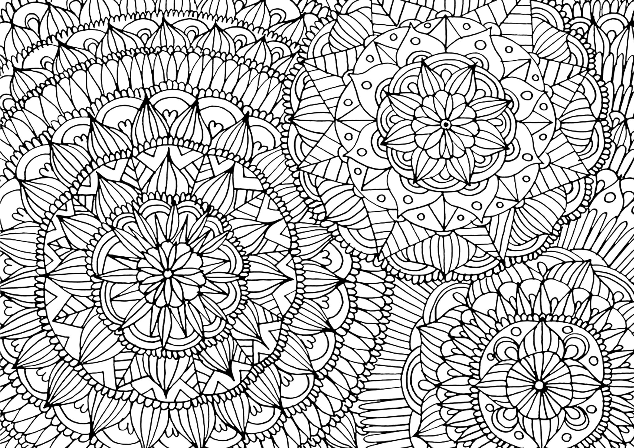 Desenhos Para Colorir Grandes 20 Imagens Para Imprimir