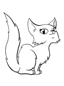desenho para colorir gatinho