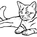 Gato para Colorir : 40 desenhos para imprimir