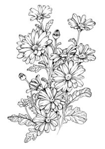 desenhos de flores para colorir e imprimir