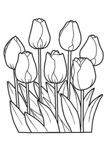 desenhos de flores para imprimir