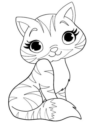 Gato para Colorir : 40 desenhos para imprimir