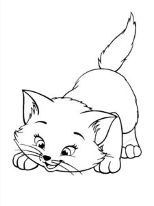 desenhos de gatos para colorir